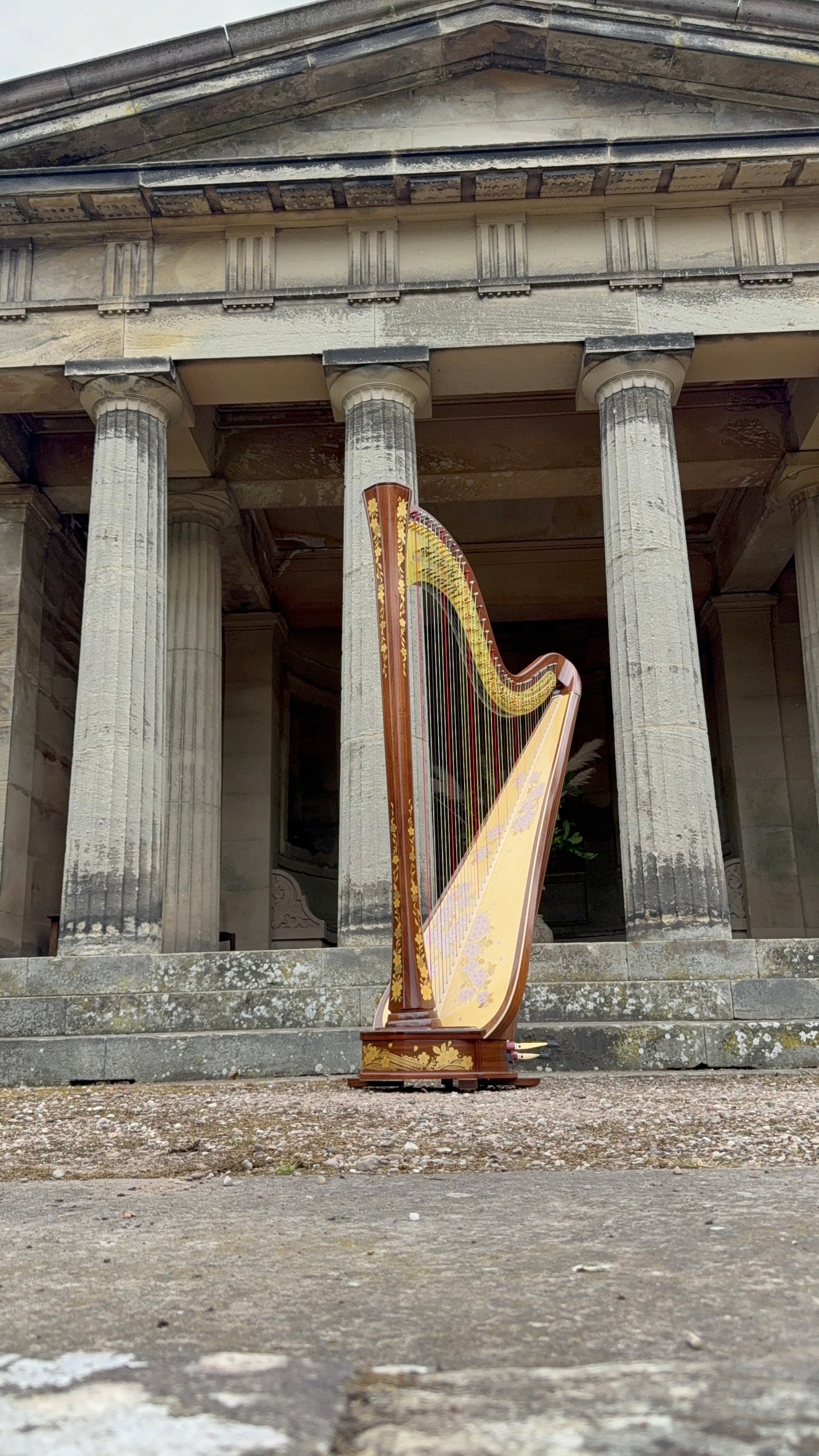 AOYAMA Princess Sakura Concert Harp