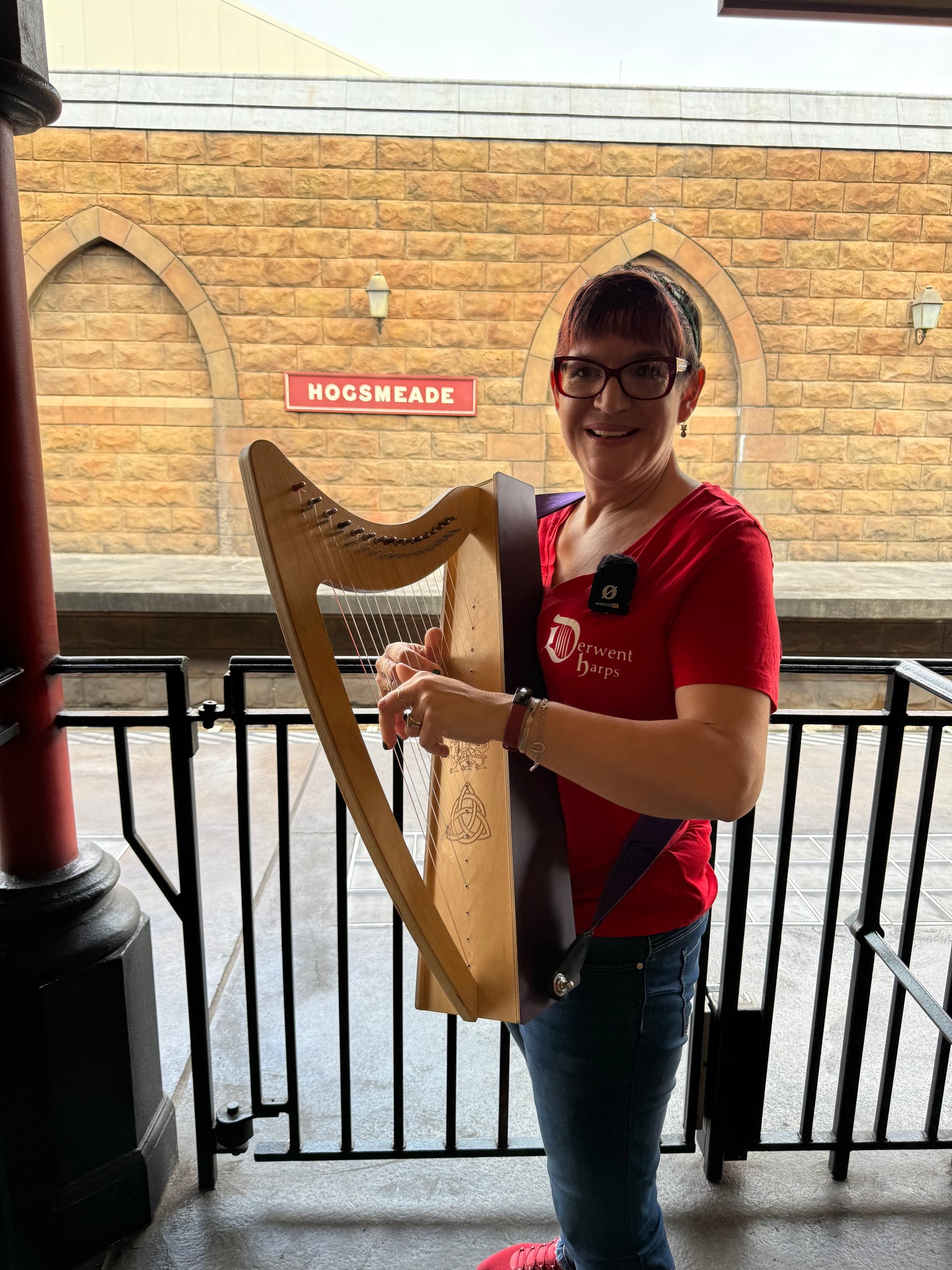 Discovery 16 - Discover the Harp at Home, includes harp, introductory book, 3 video lessons and tuning key plus much more