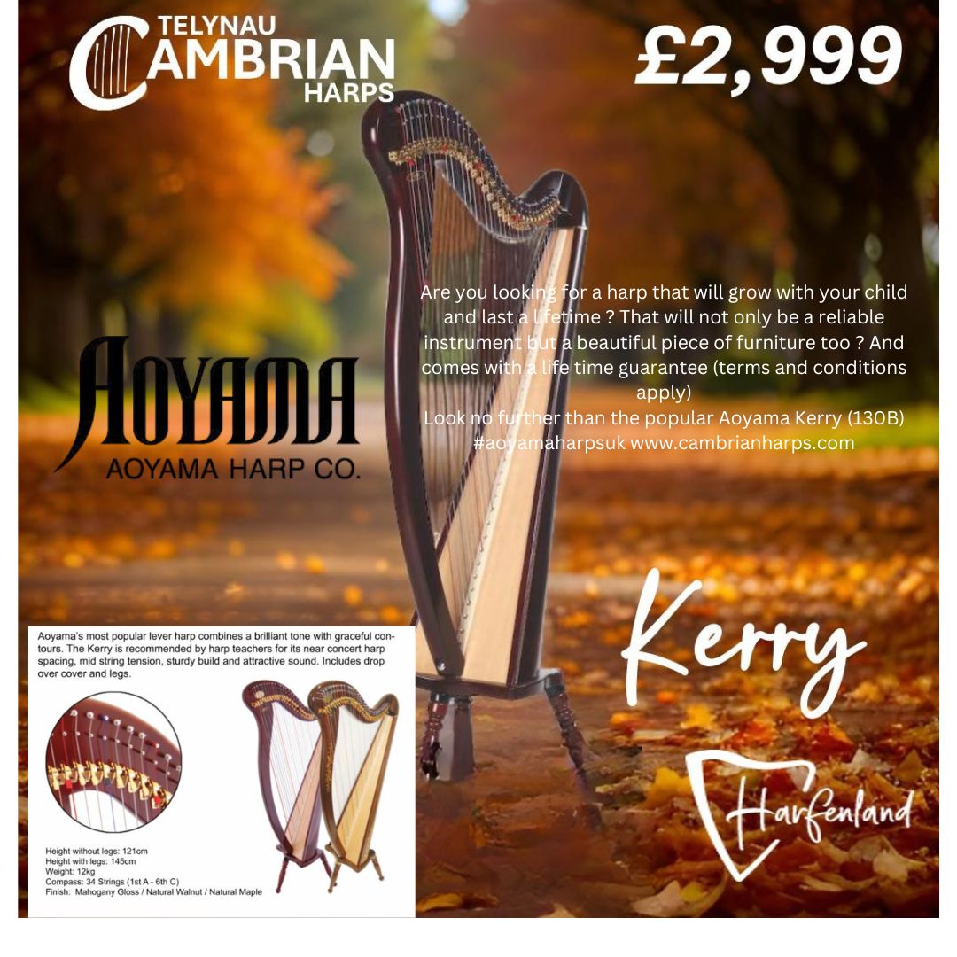 Aoyama Kerry 34 (130B)