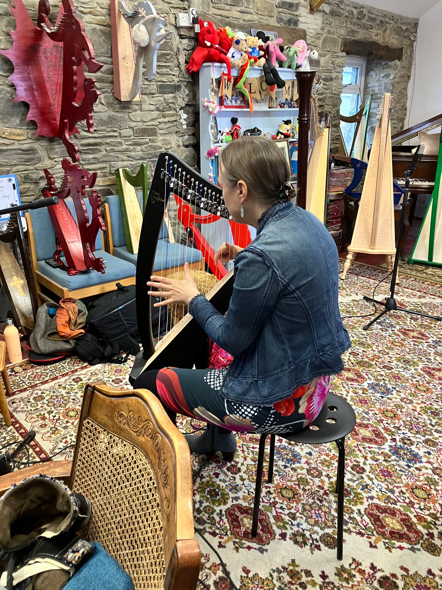 Erin 22 String Lever Harp by Harfenland