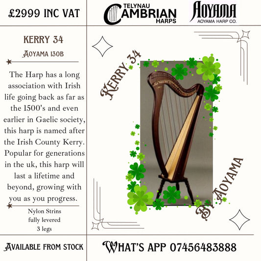 Aoyama Kerry 34 (130B)