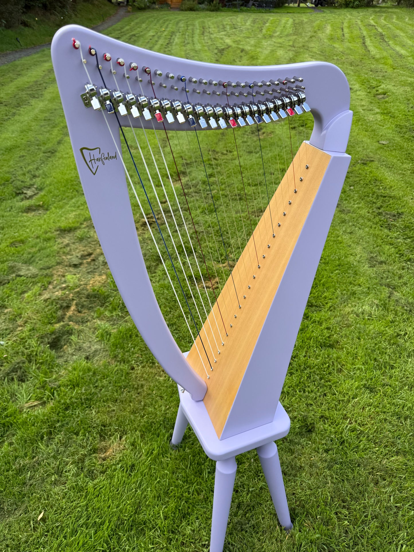 Erin 22 String Lever Harp by Harfenland