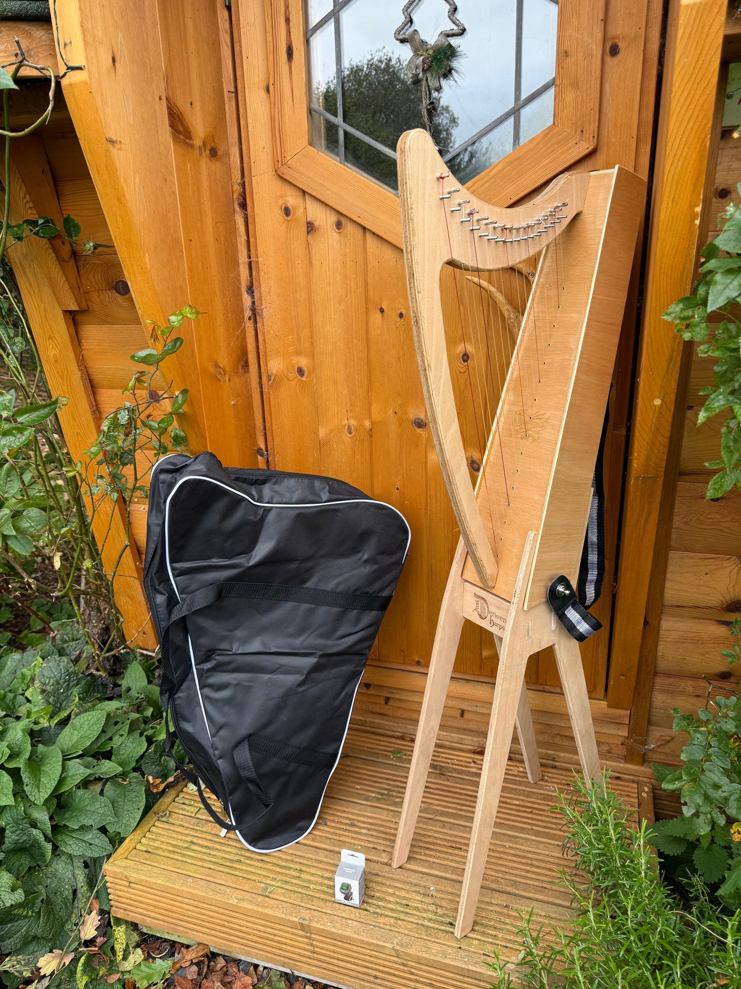 Discovery 16 Christmas Bundle - includes personalised harp and lots of extras!