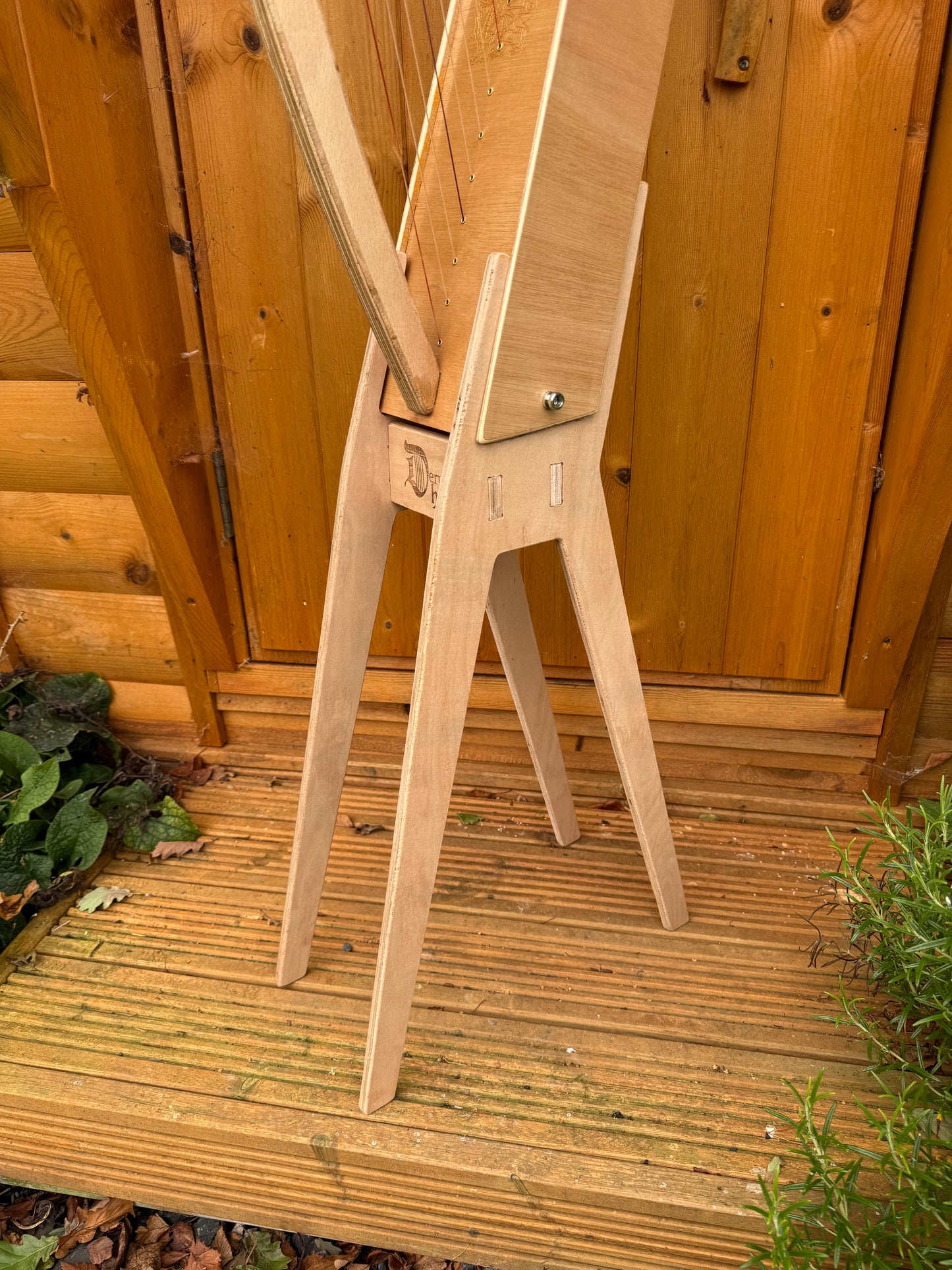 Discovery 16 Christmas Bundle - includes personalised harp and lots of extras!