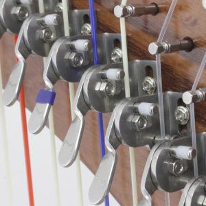 Daisy 34 from Mikel Harps