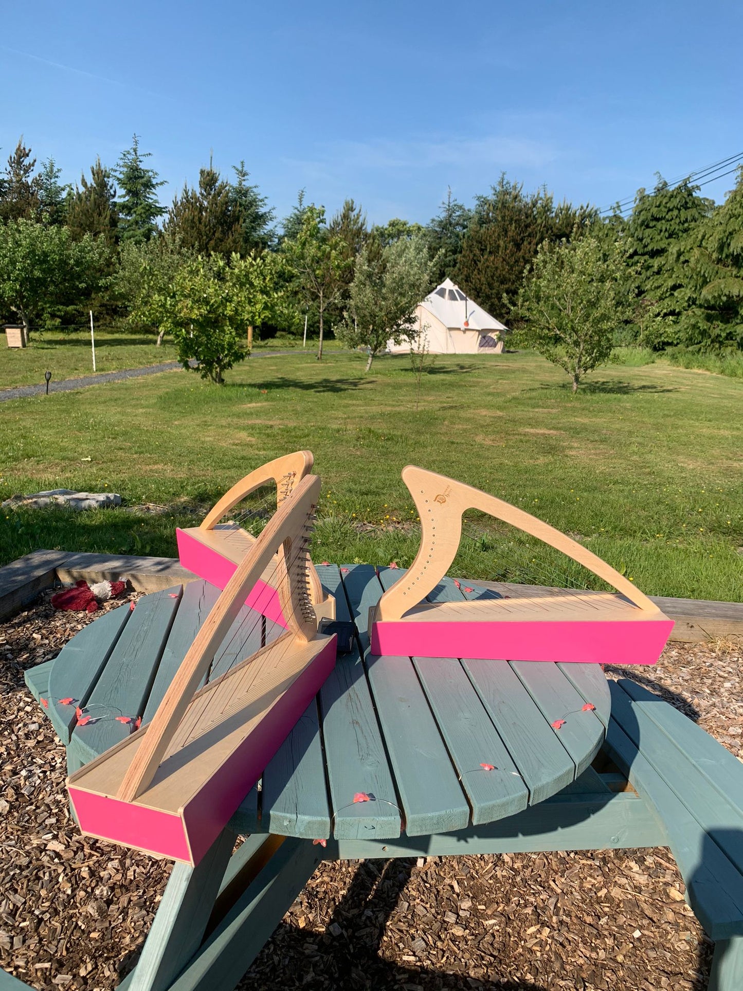 Discovery 16 Education Bundle - 10 Harps Plus teaching resouces for just £1499