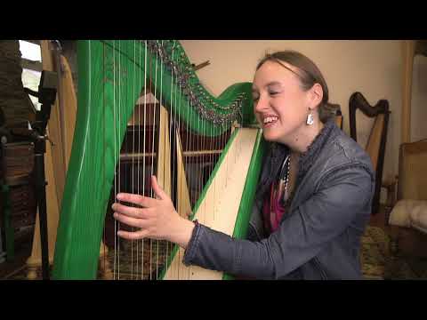 Daisy 34 from Mikel Harps