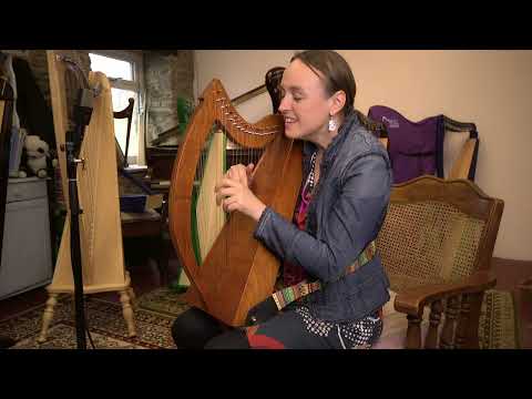 DiscoverIE 16 - Discover The Irish Harp at Home