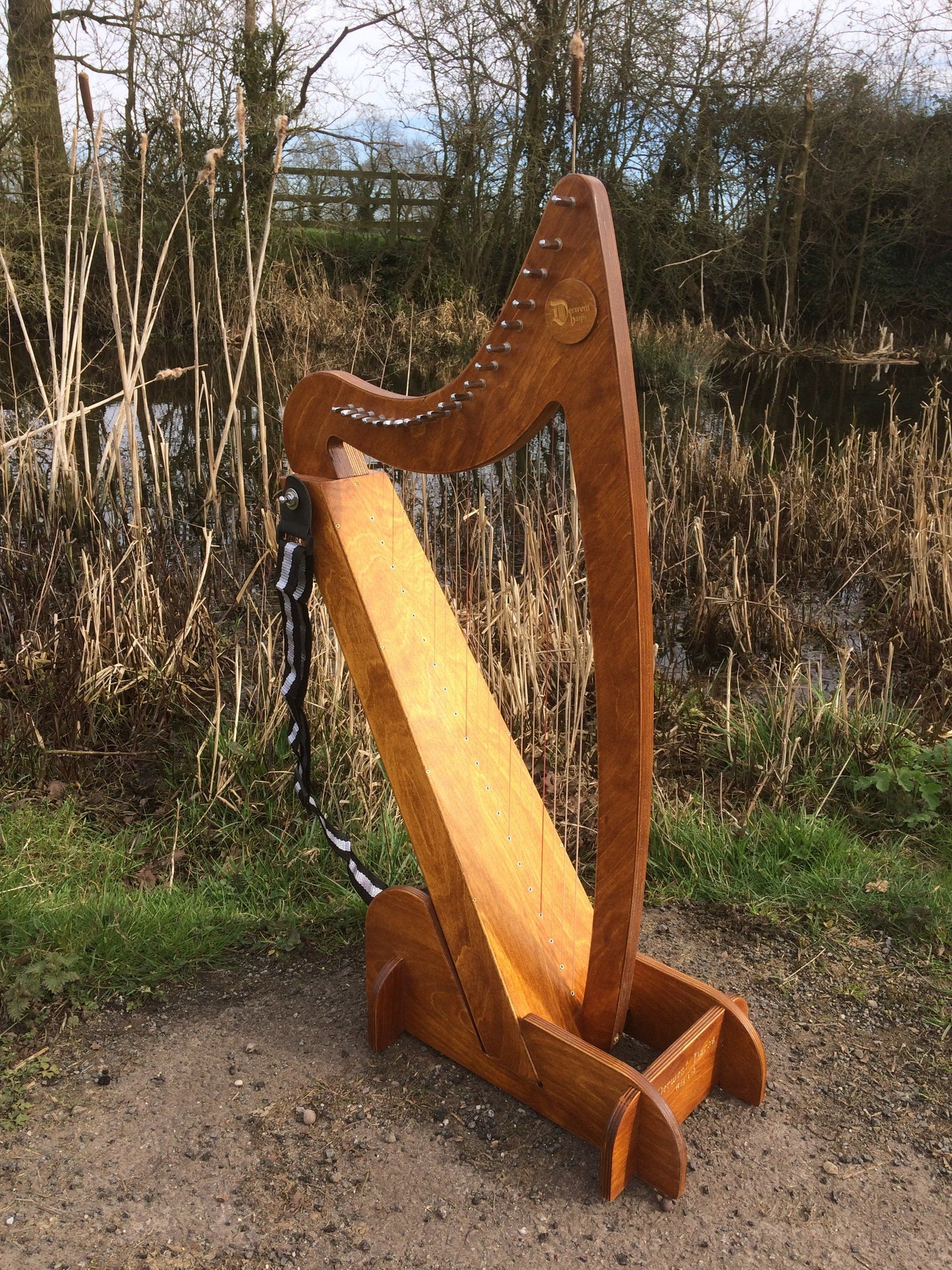 Adventurer 20 Harp Starter Pack - including Harp and all you need to get playing - Made In Wales