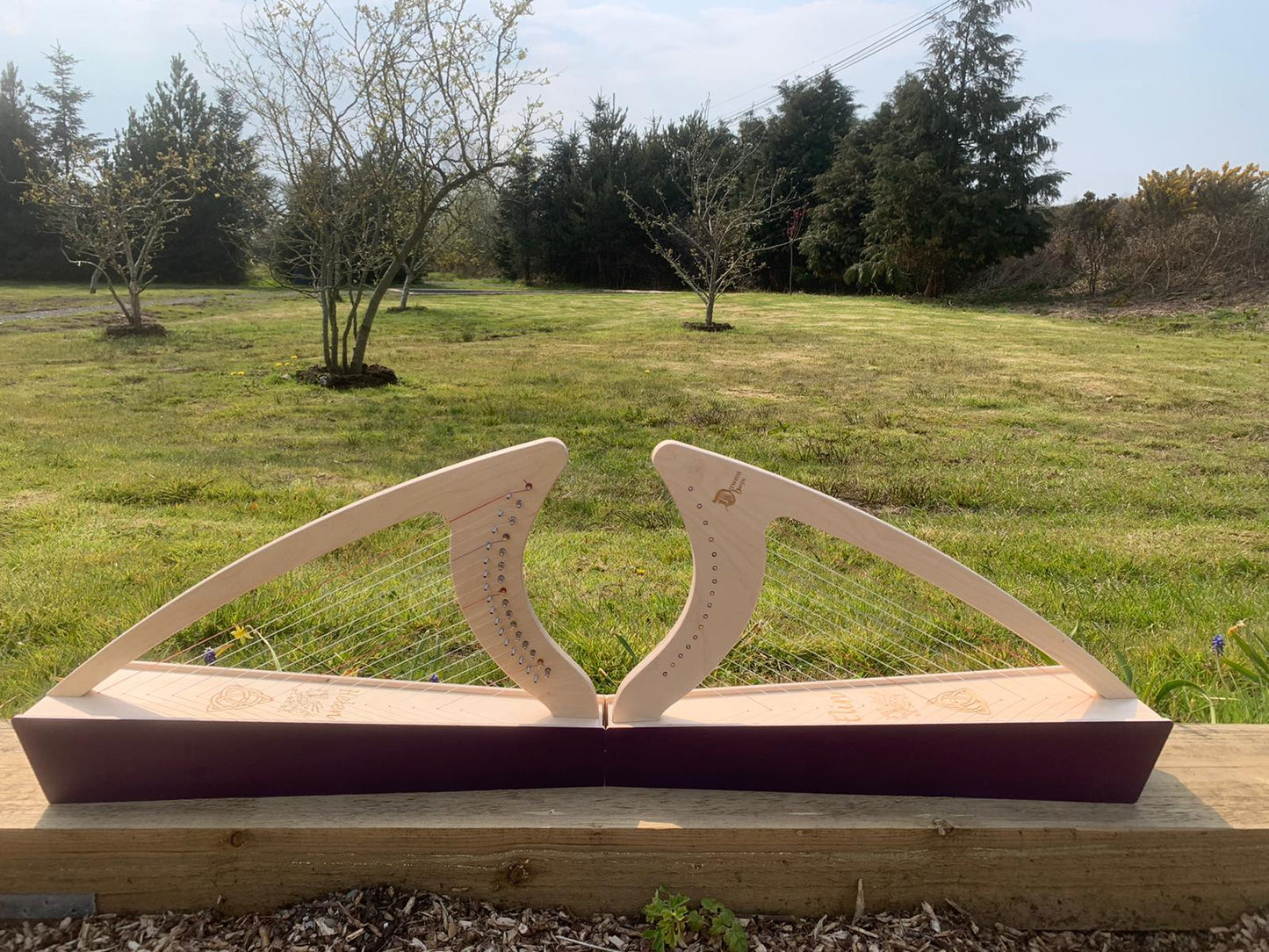 Discovery 16 Education Bundle - 10 Harps Plus teaching resouces for just £1499