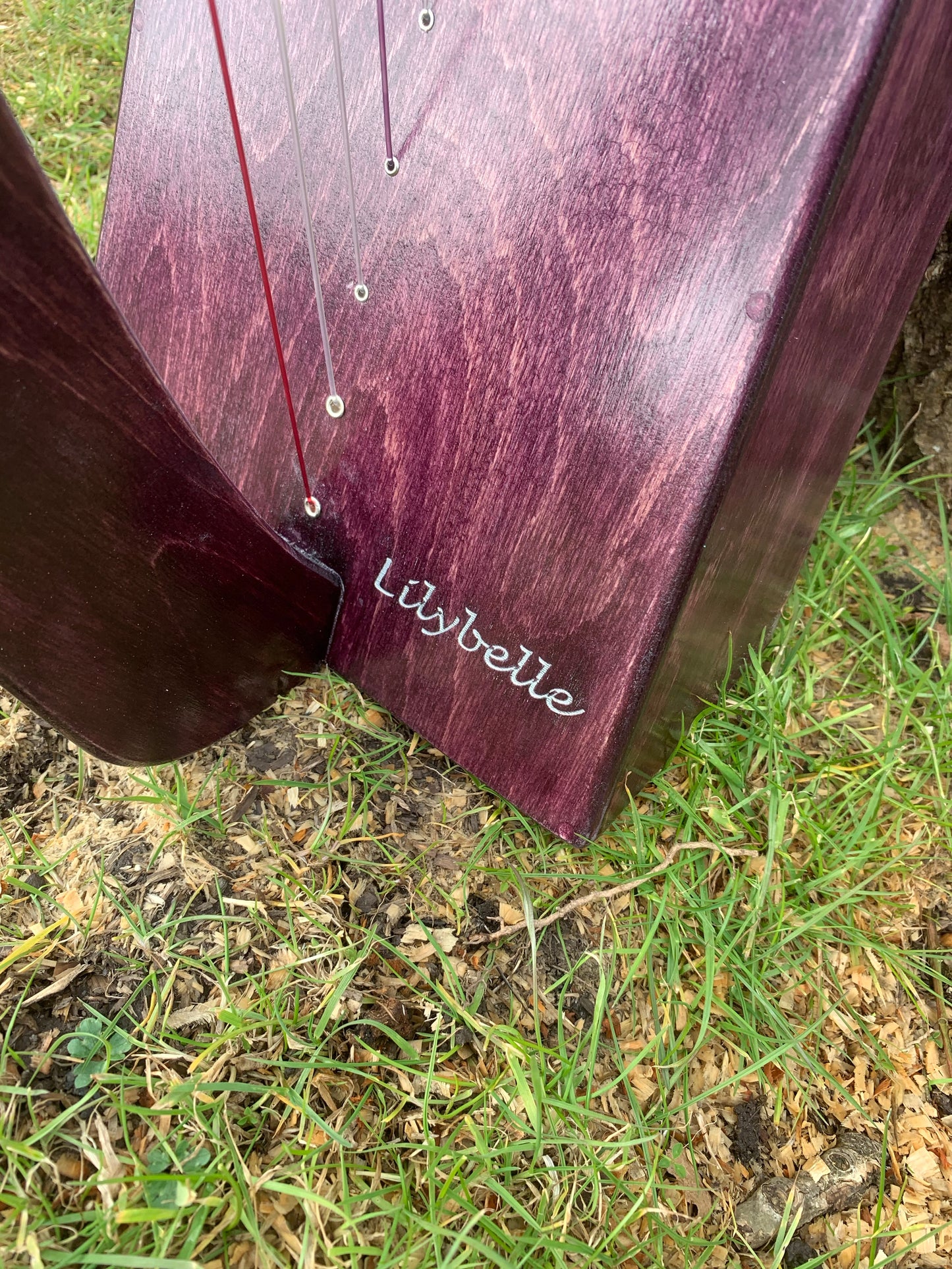 Personalisation of Your Derwent Harp