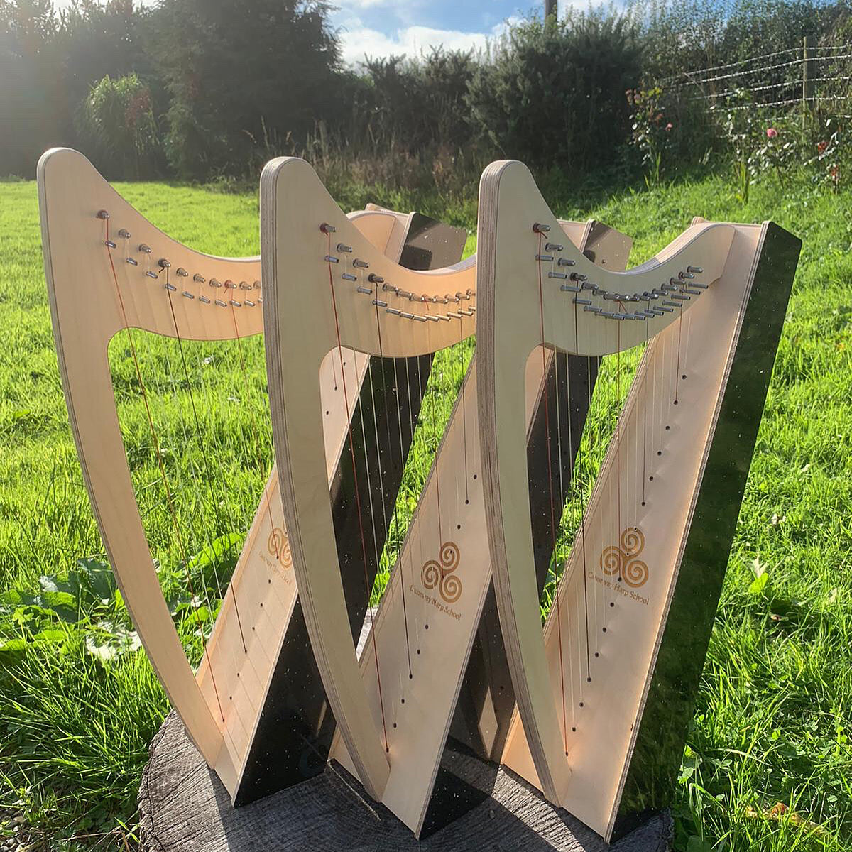 Discovery 16 Education Bundle - 10 Harps Plus teaching resouces for just £1499