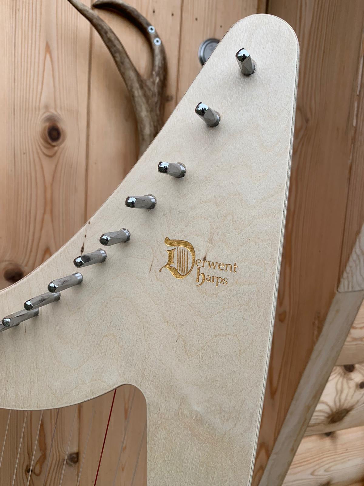 NEW - Discovery 21 - Made In Wales