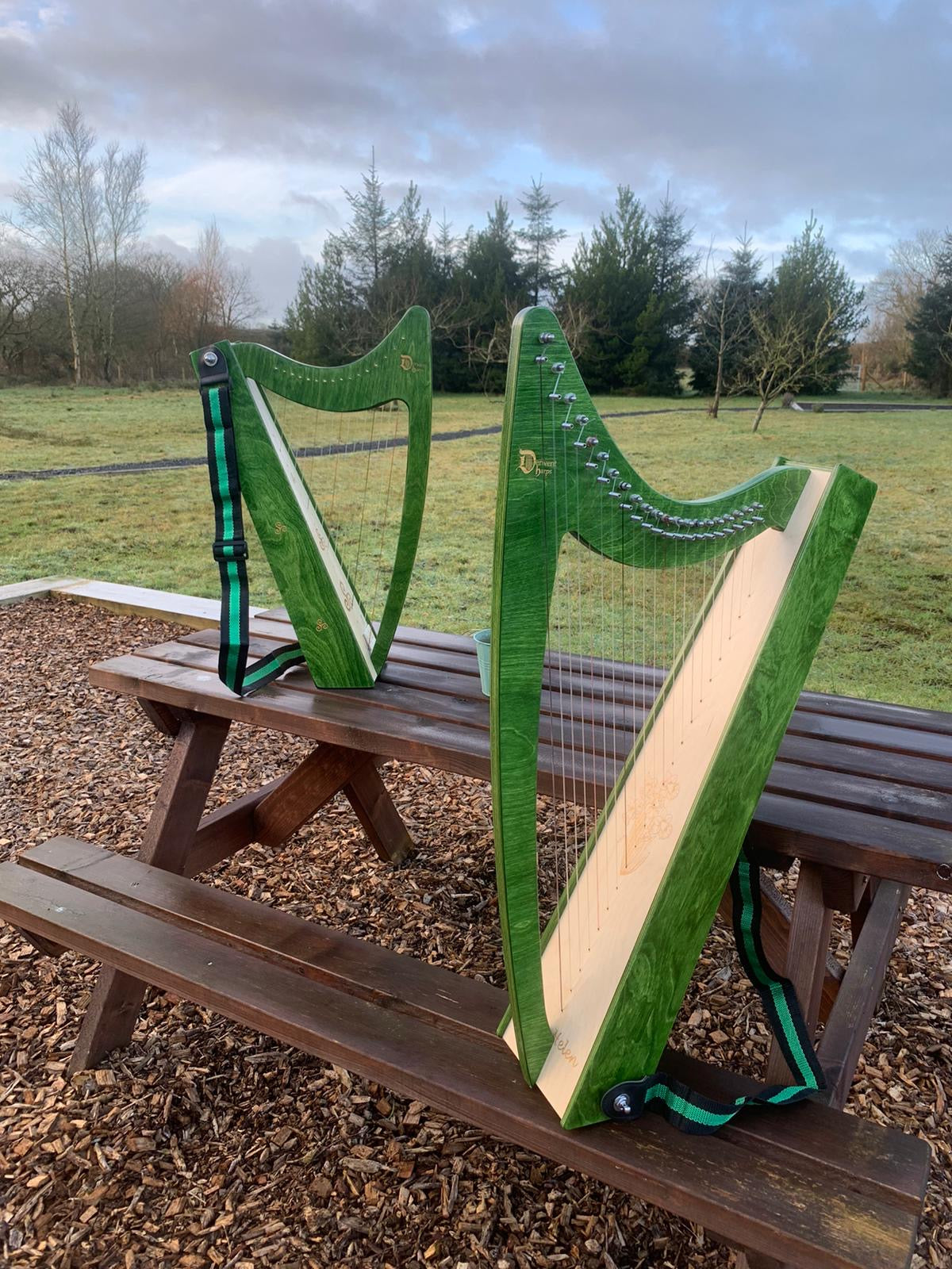 NEW - Discovery 21 - Made In Wales