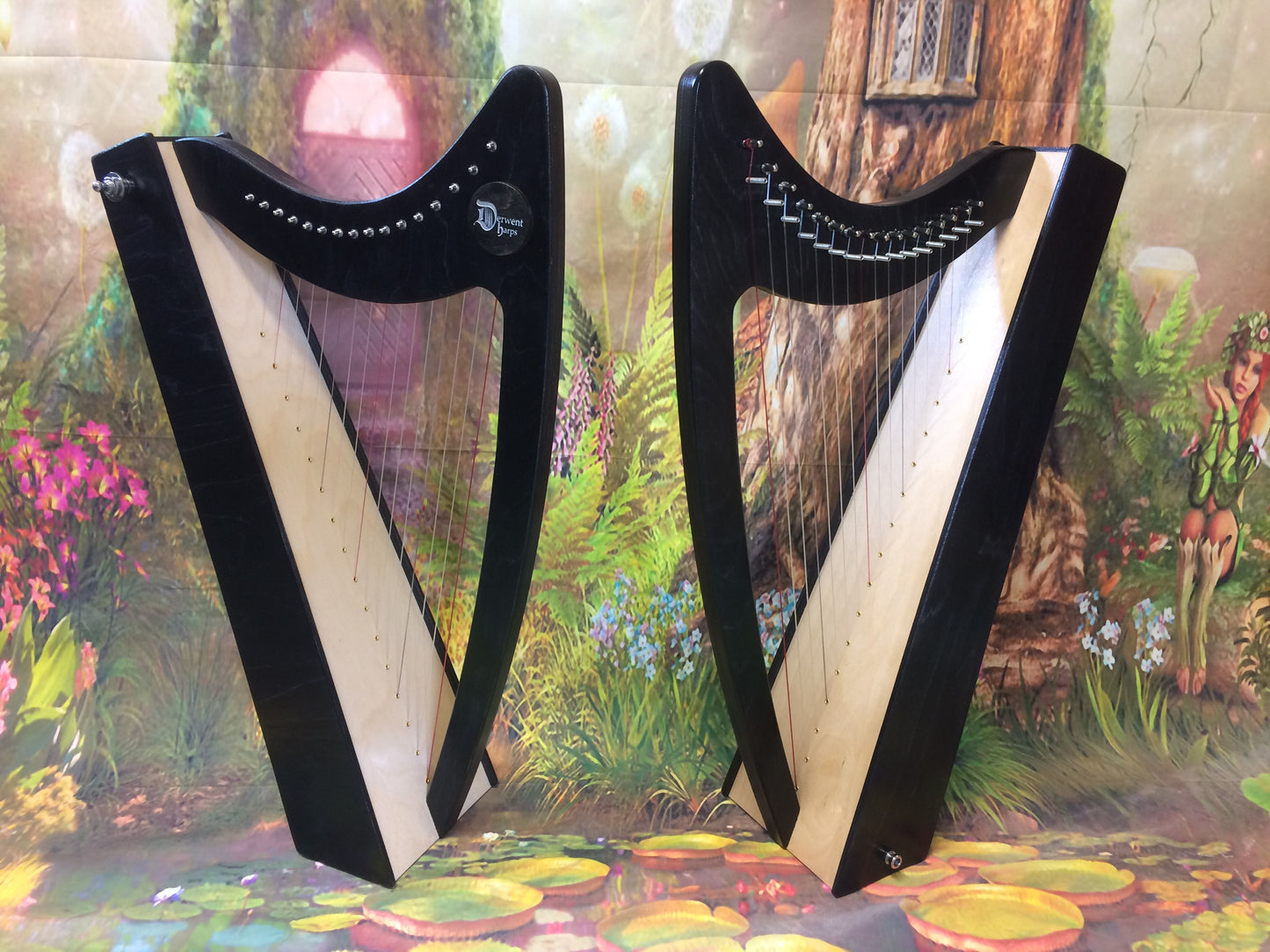 Discovery 16 Education Bundle - 10 Harps Plus teaching resouces for just £1499