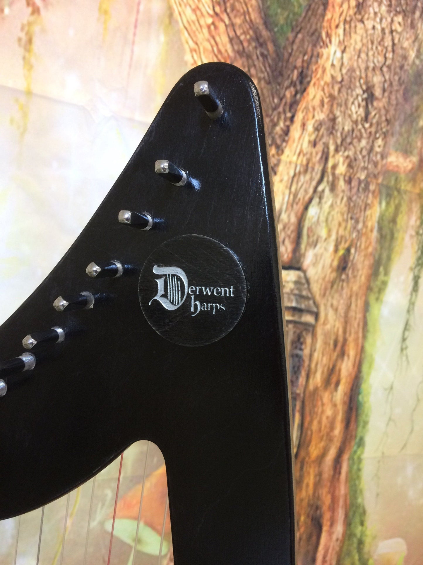 Derwent Harps Adventurer 20 in coloured wood stain Finishes Made in Wales with F and C Levers