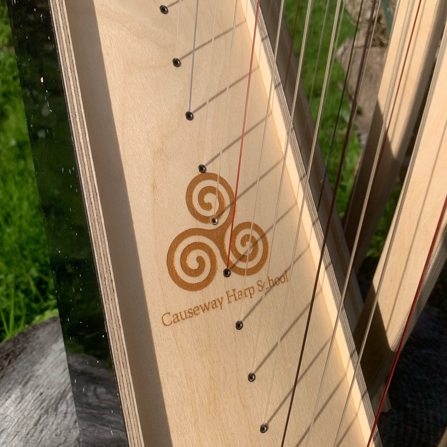 Discovery 16 Education Bundle - 10 Harps Plus teaching resouces for just £1499