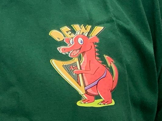 Discover The Harp Tee Shirt Featuring Dewi Draig