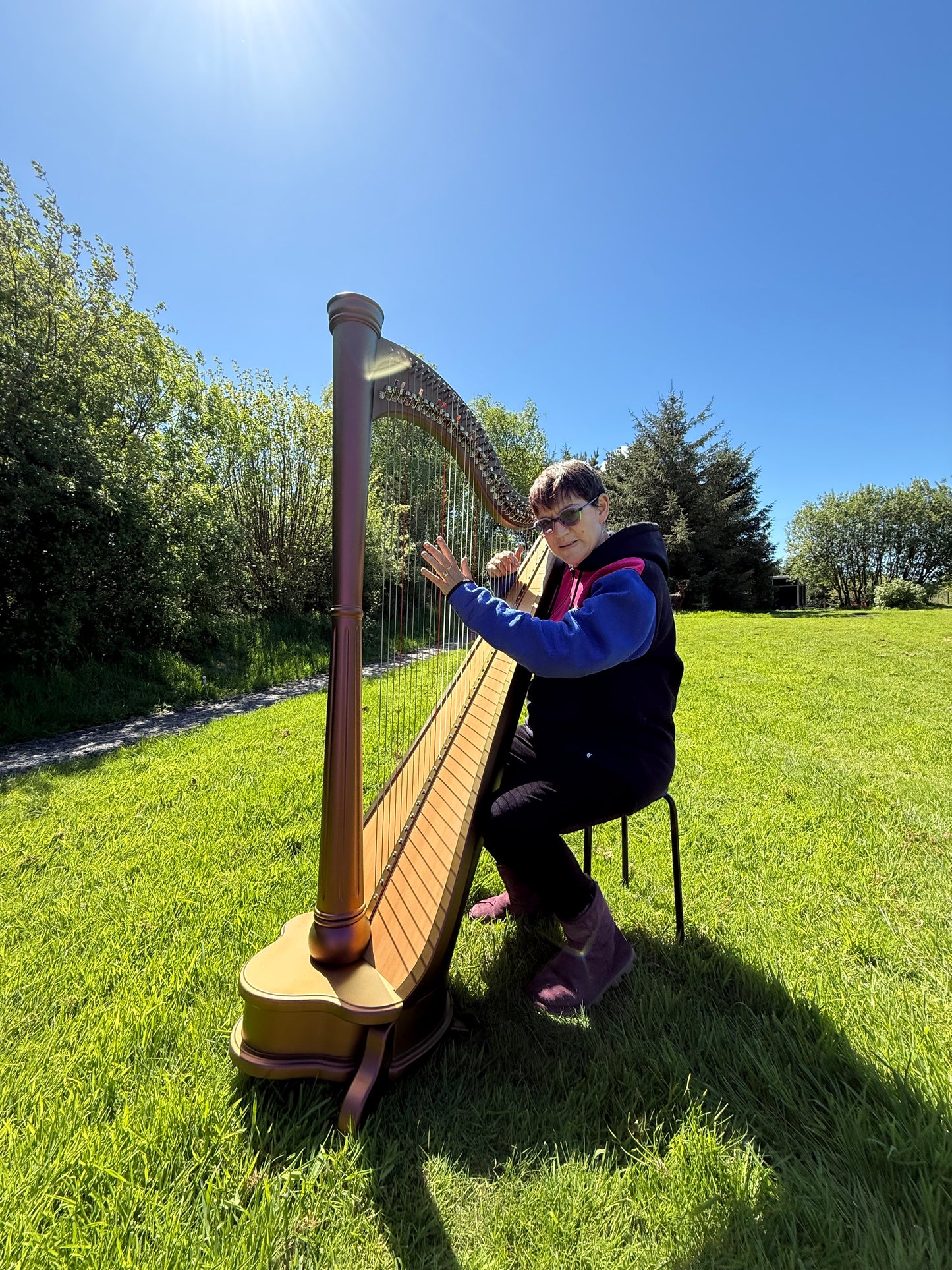Princess Royale 40 String Lever Harp | Harfenland.
