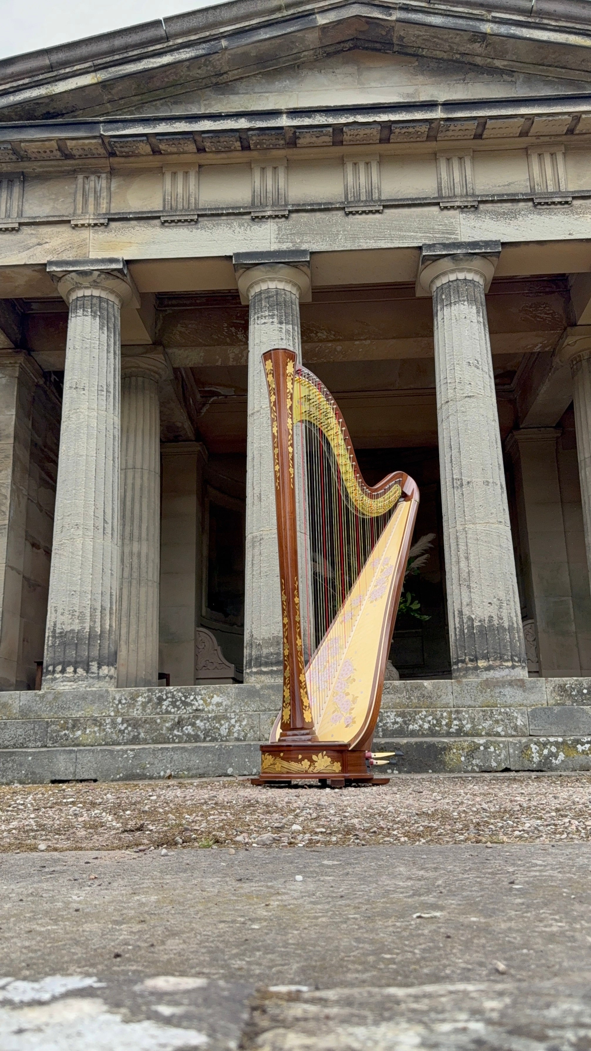 AOYAMA Princess Sakura Concert Harp – Derwent Harps