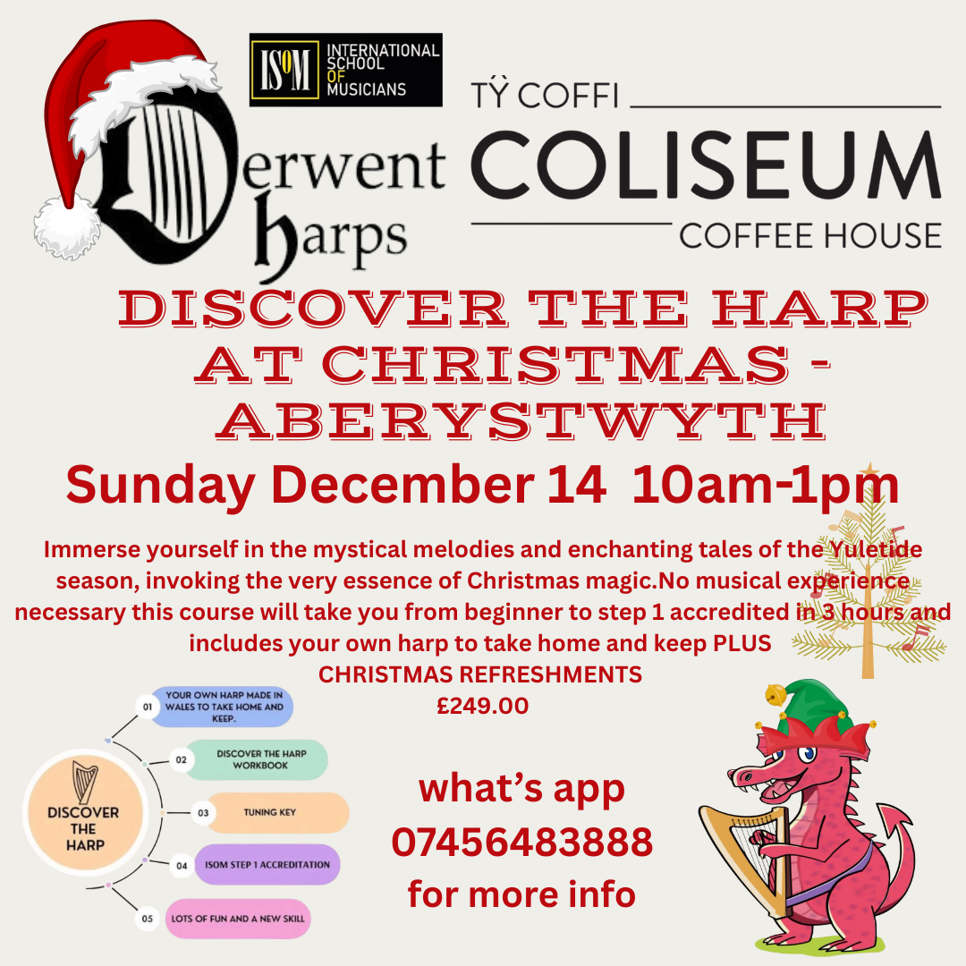 Discover The Harp at Christmas in Aberystwyth