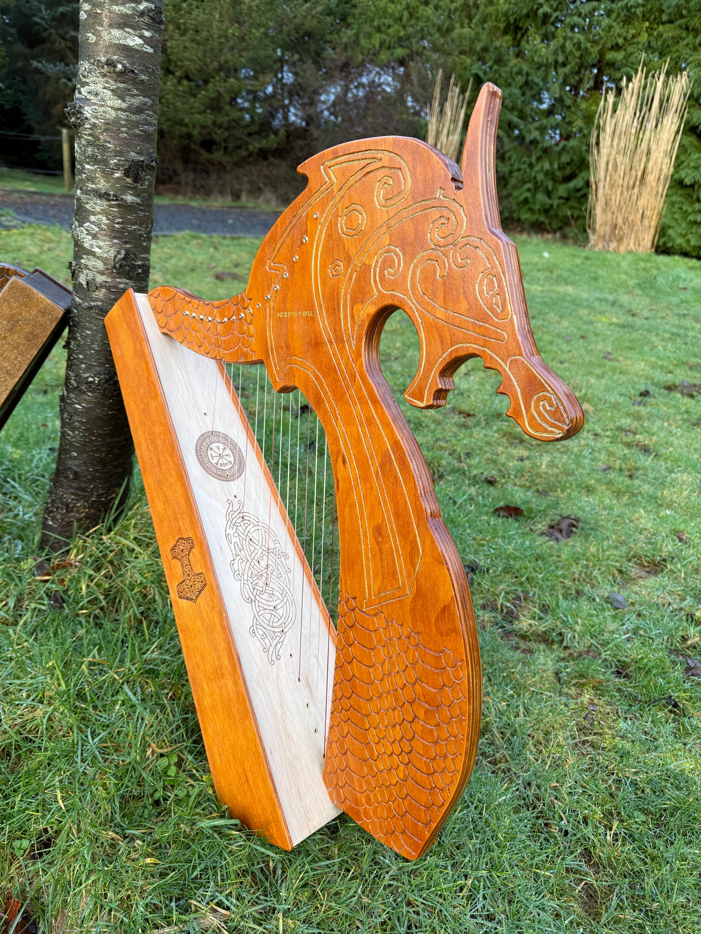 Discovery 16 - Viking Dragon