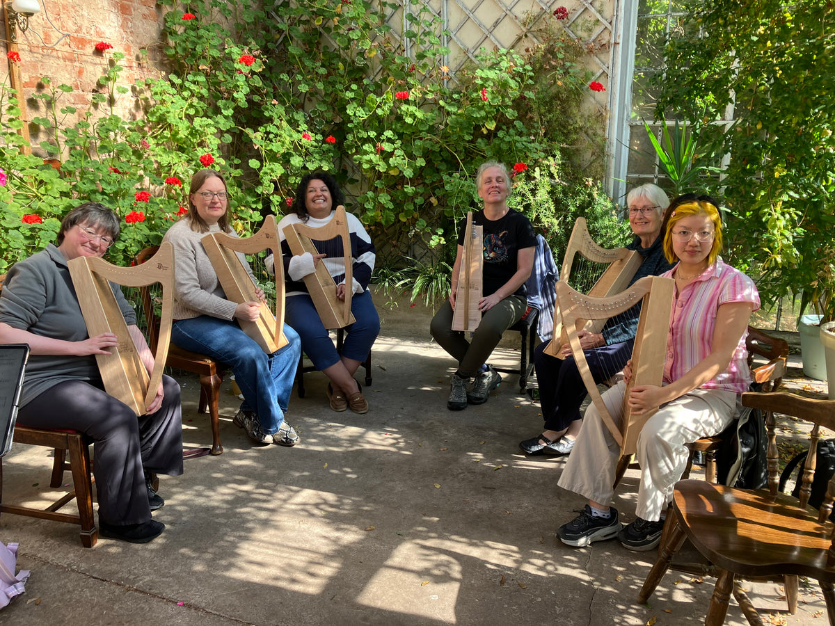 Welsh-made Discovery 16 harp for the Discover The Harp course at Llandrindod Wells