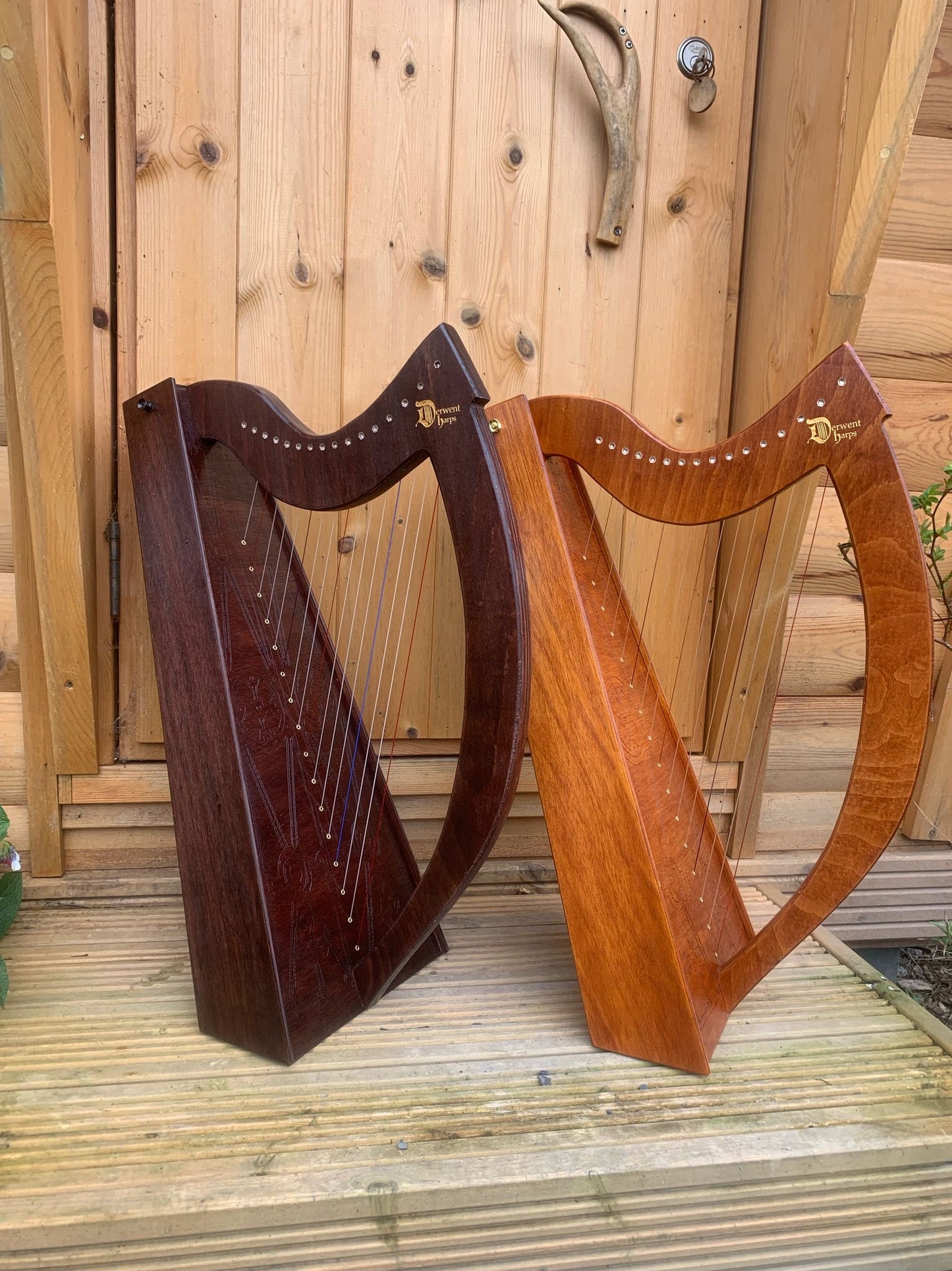 DiscoverIE 16 - Discover The Irish Harp at Home