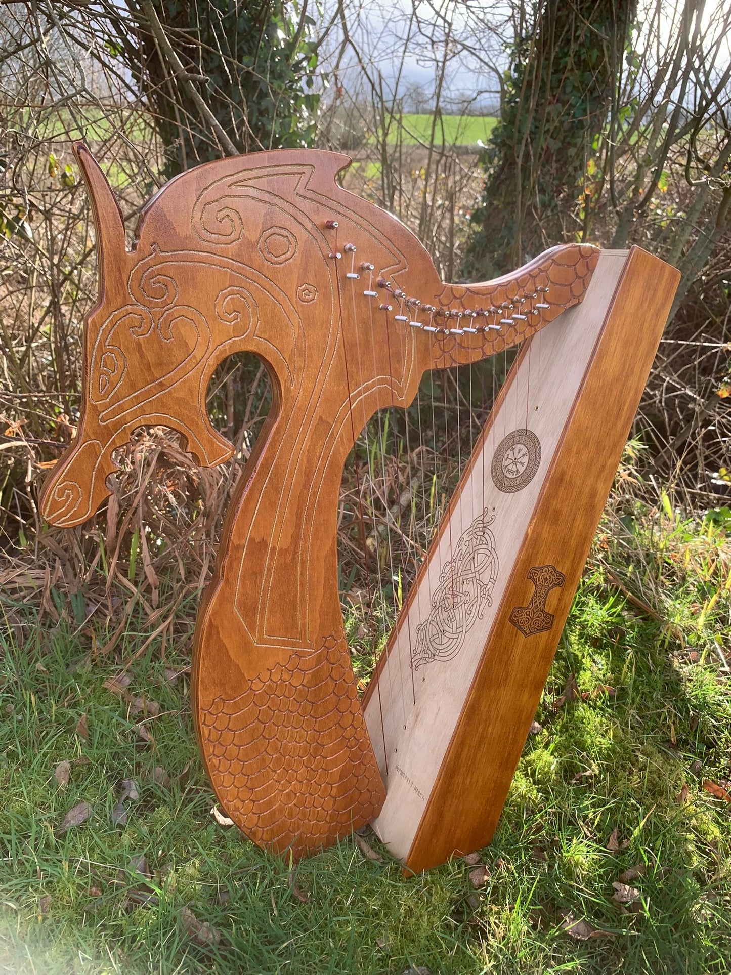 Discovery 16 - Viking Dragon