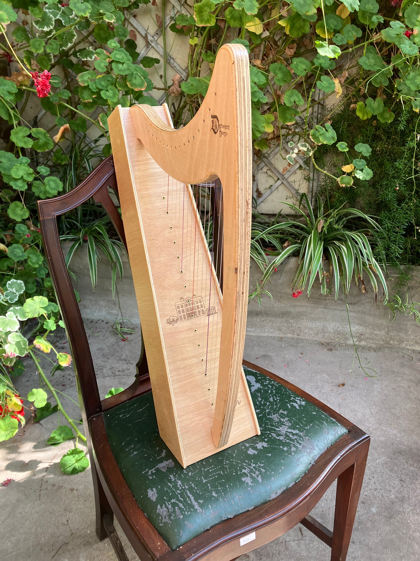 Discovery 16 - Discover the Harp at Home, includes harp, introductory book, 3 video lessons and tuning key plus much more