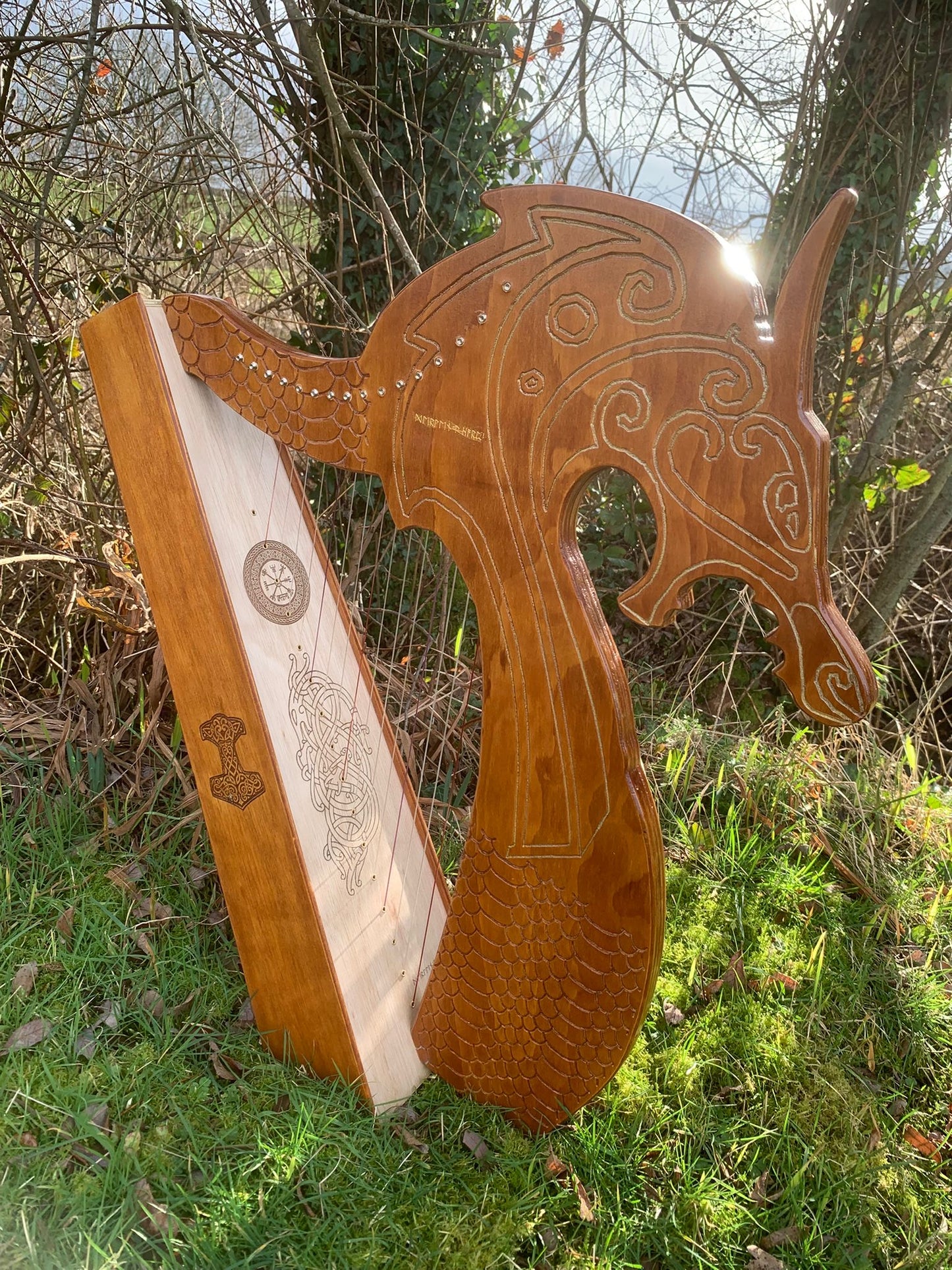 Discovery 16 - Viking Dragon