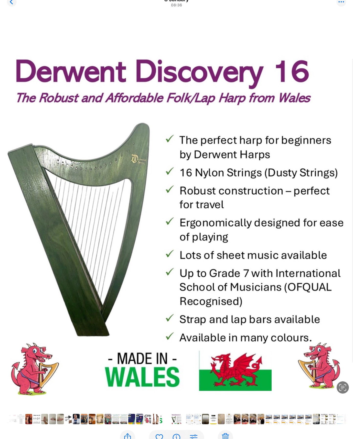Discovery 16 - Discover the Harp at Home, includes harp, introductory book, 3 video lessons and tuning key plus much more
