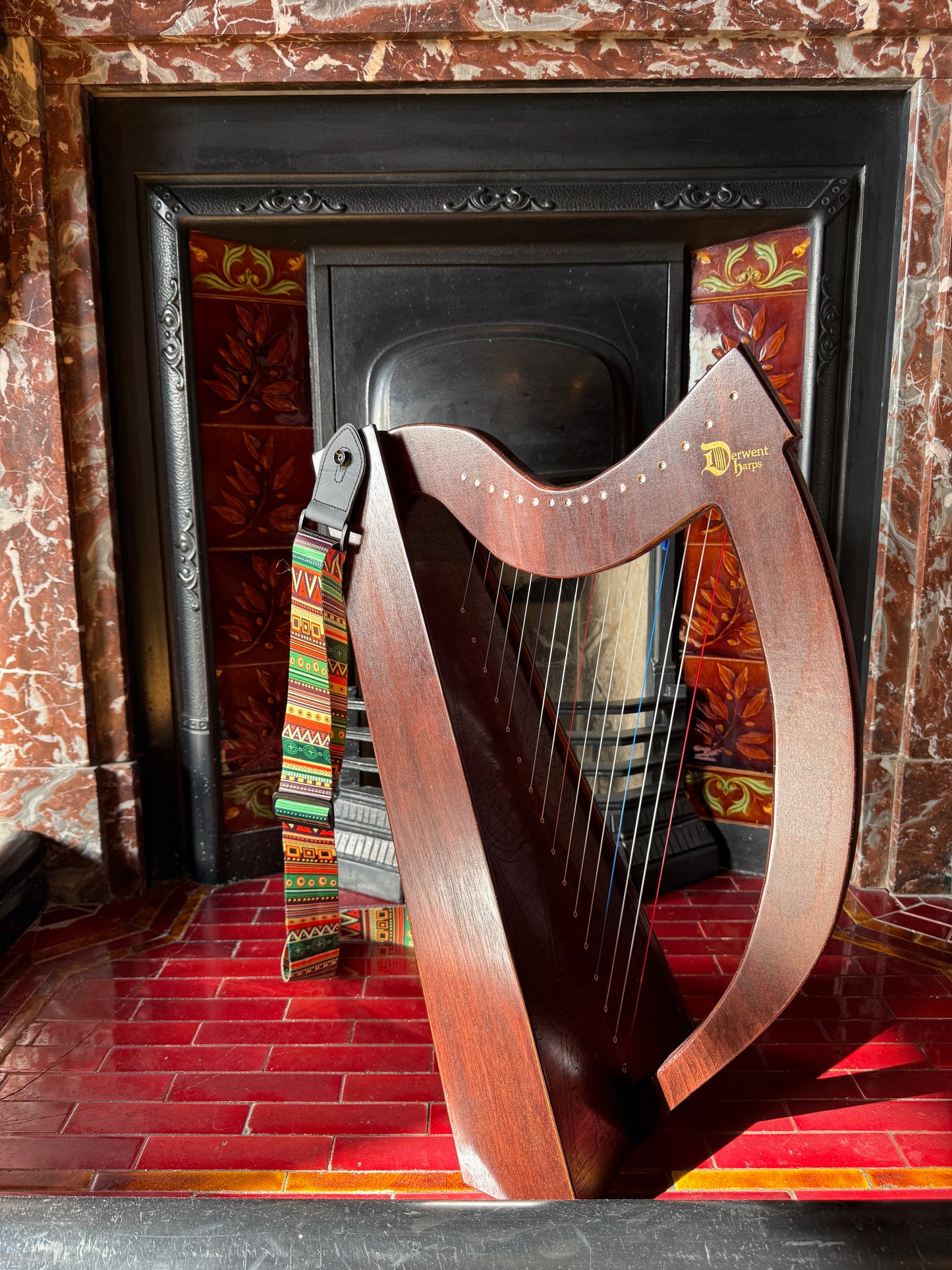 DiscoverIE 16 - Discover The Irish Harp at Home