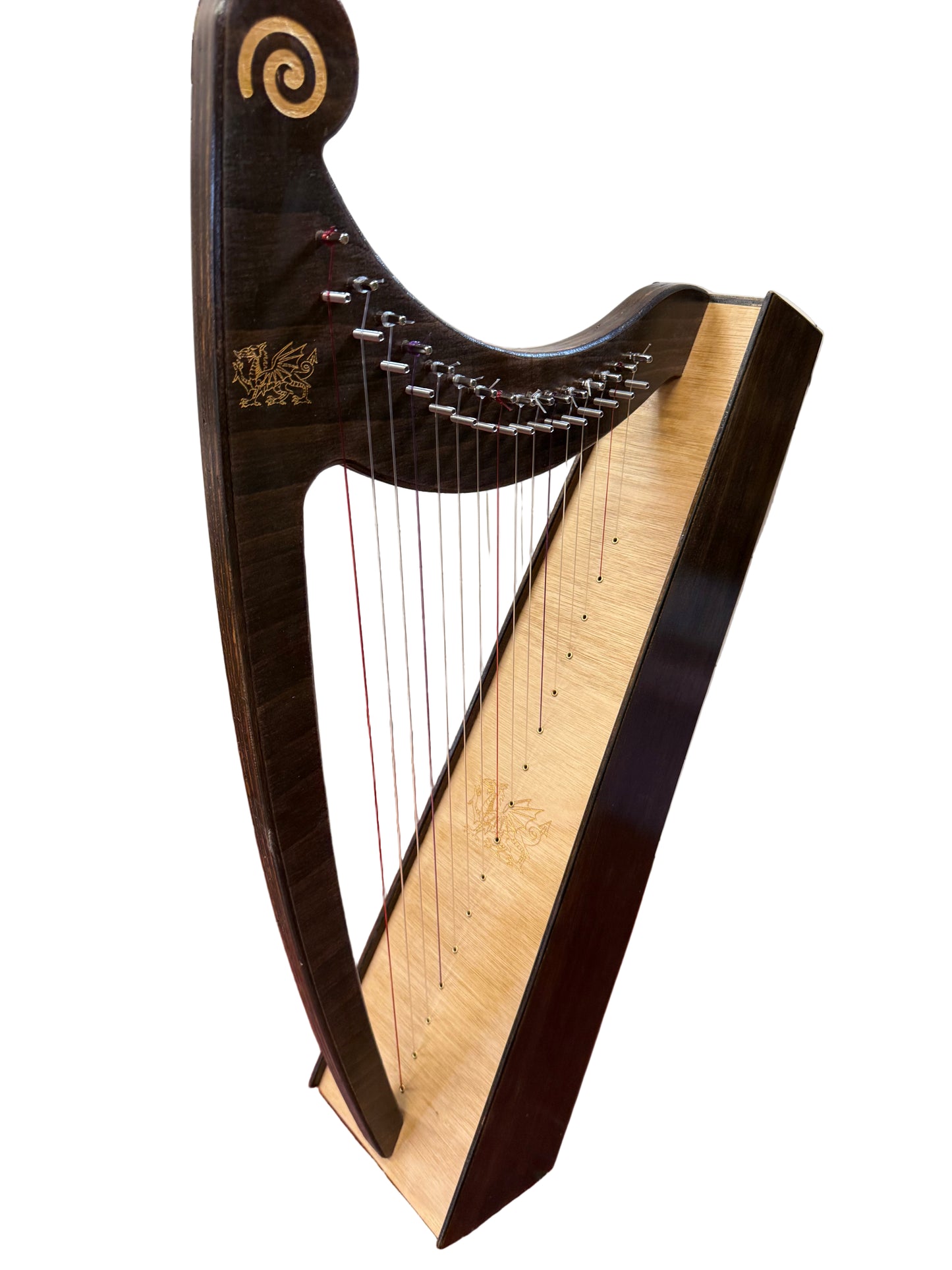 Discovery 16 Cambria Edition