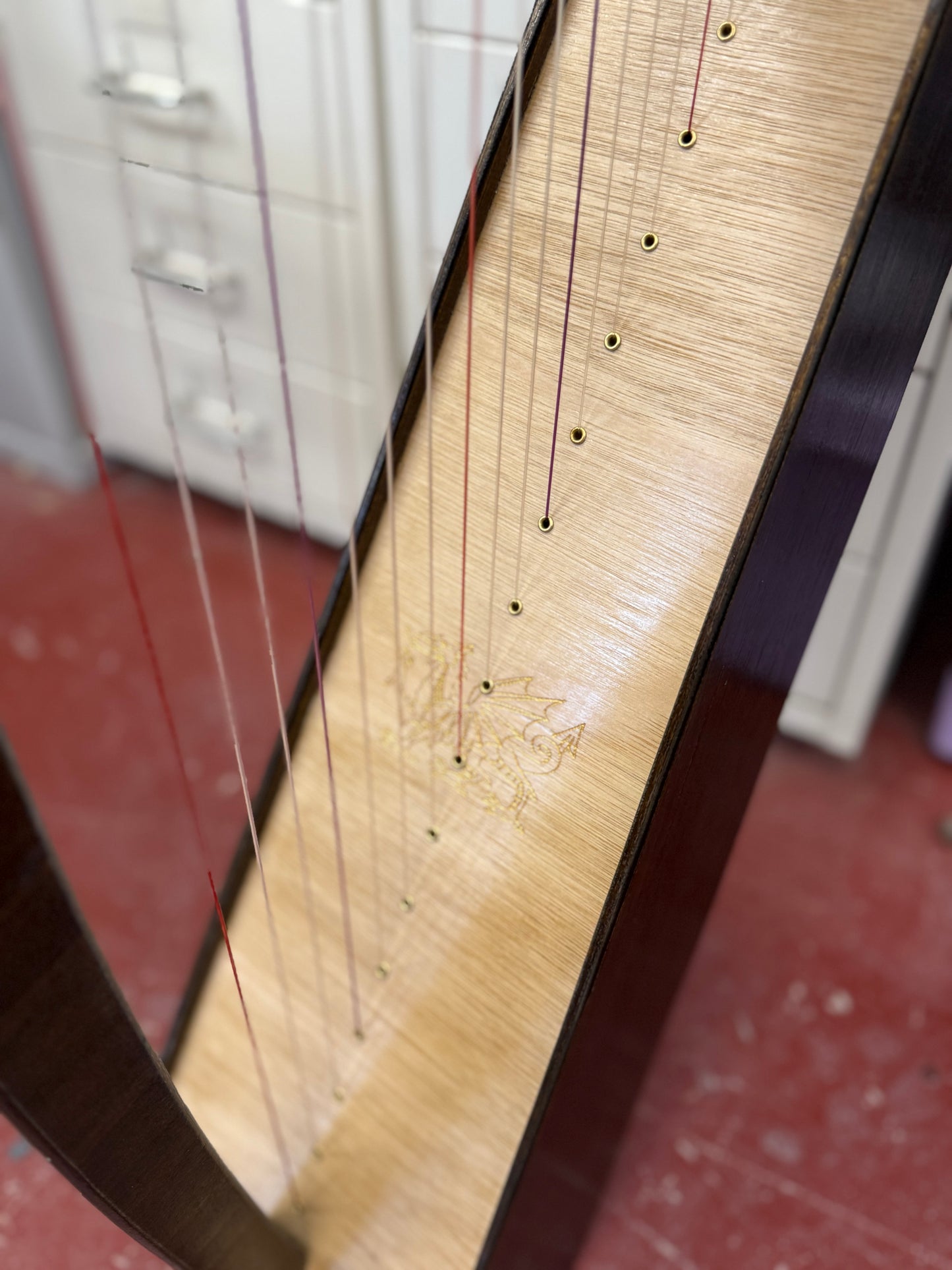 Discovery 16 Cambria Edition