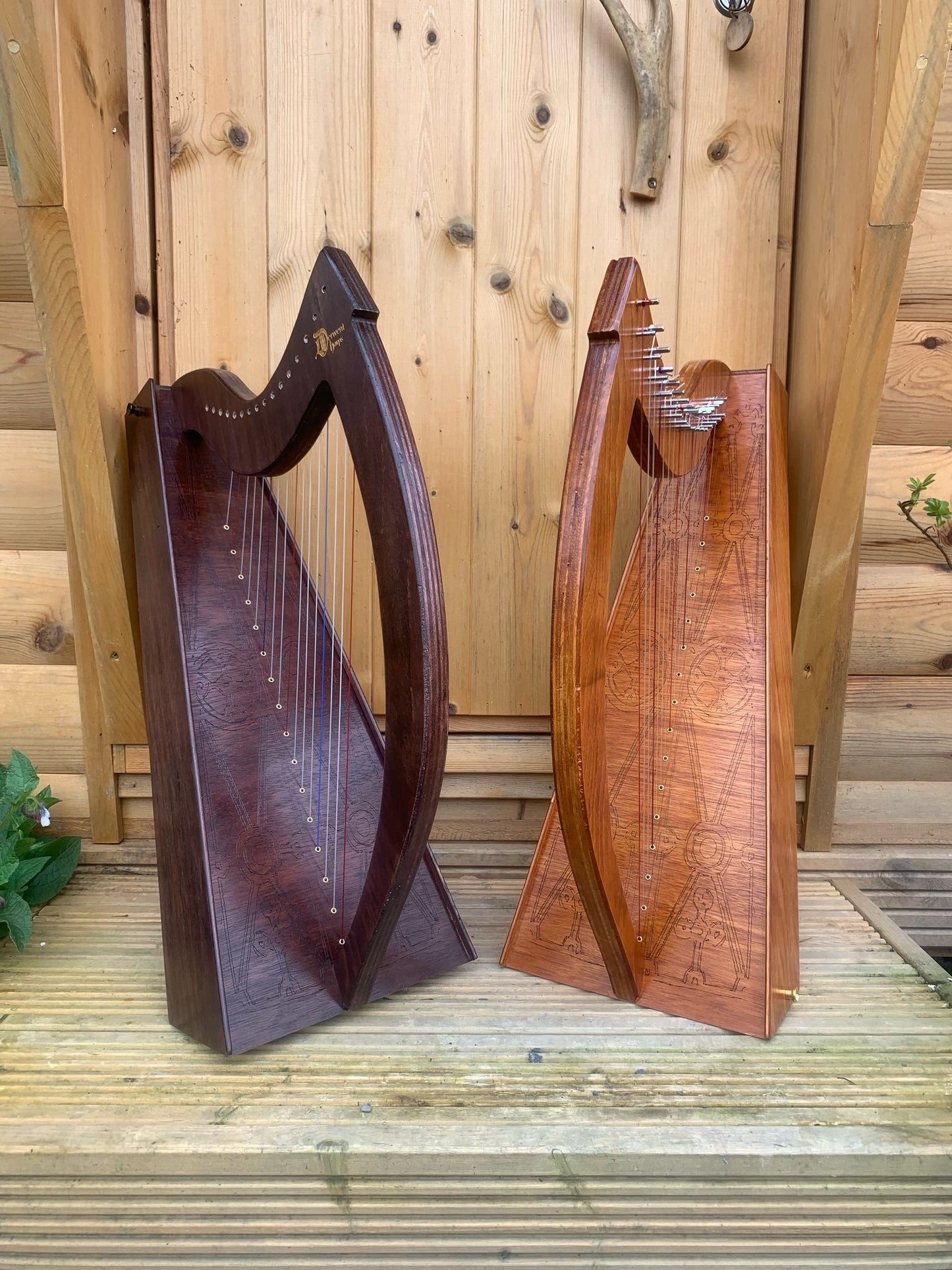 DiscoverIE 16 - Discover The Irish Harp at Home
