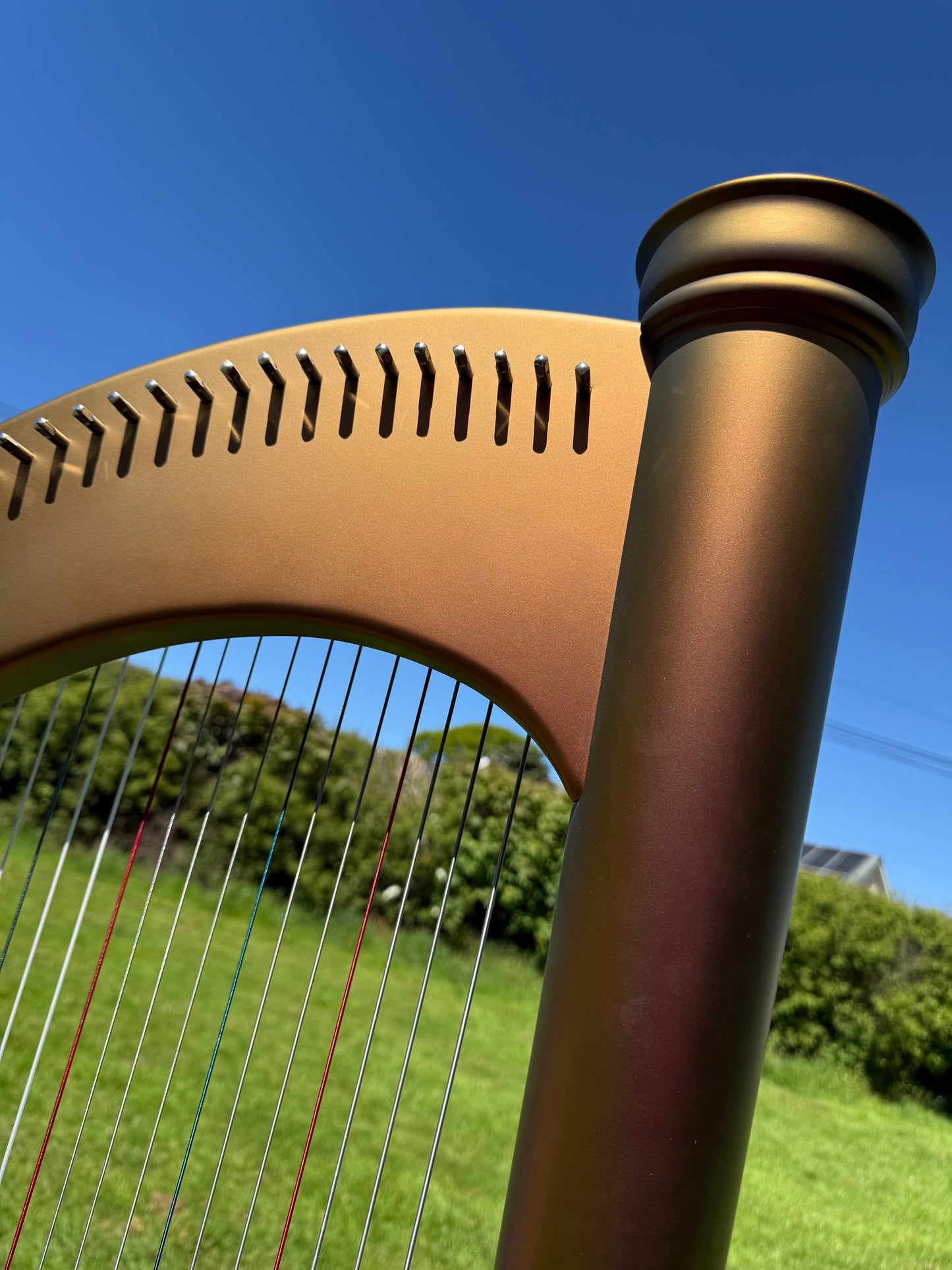 Princess Royale 40 String Lever Harp | Harfenland.