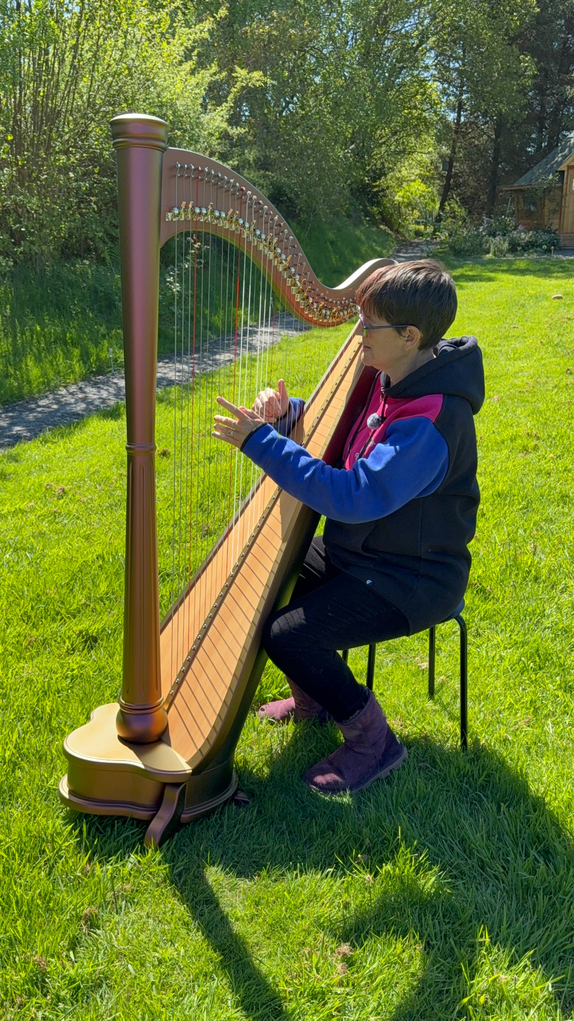 Princess Royale Extended Soundboard 40 String Lever Harp by
