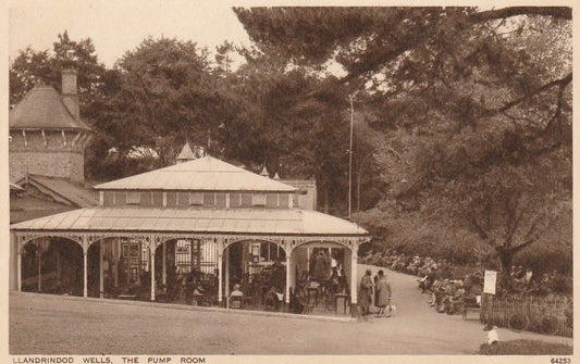 Discover The Harp At Llandrindod Wells 10/10/2026