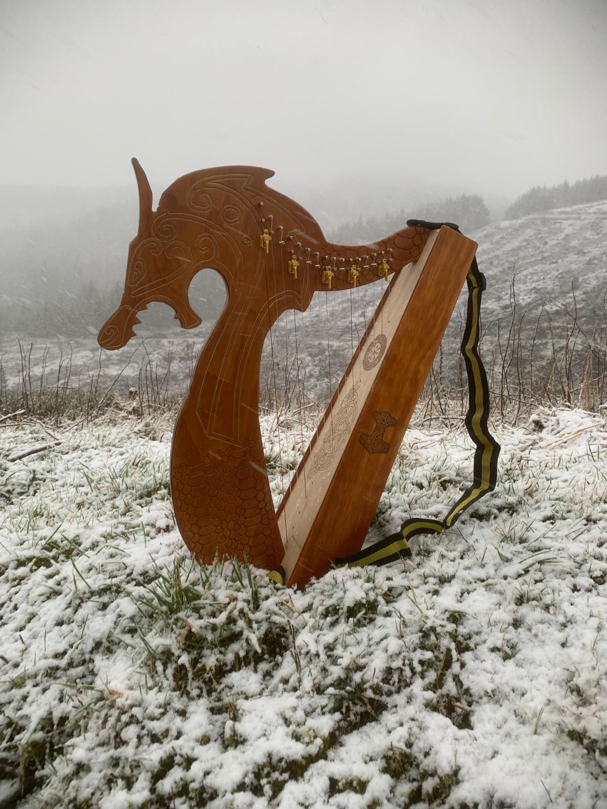 Discovery 16 - Viking Dragon