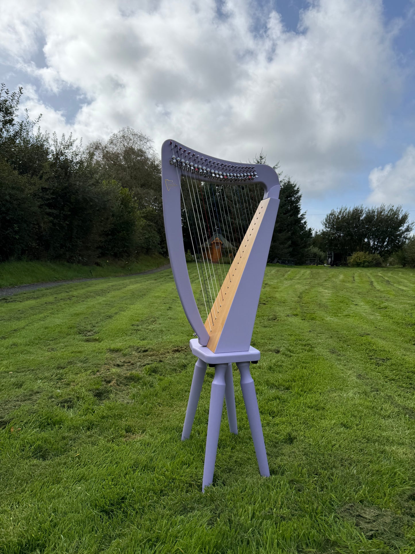 Erin 22 String Lever Harp by Harfenland