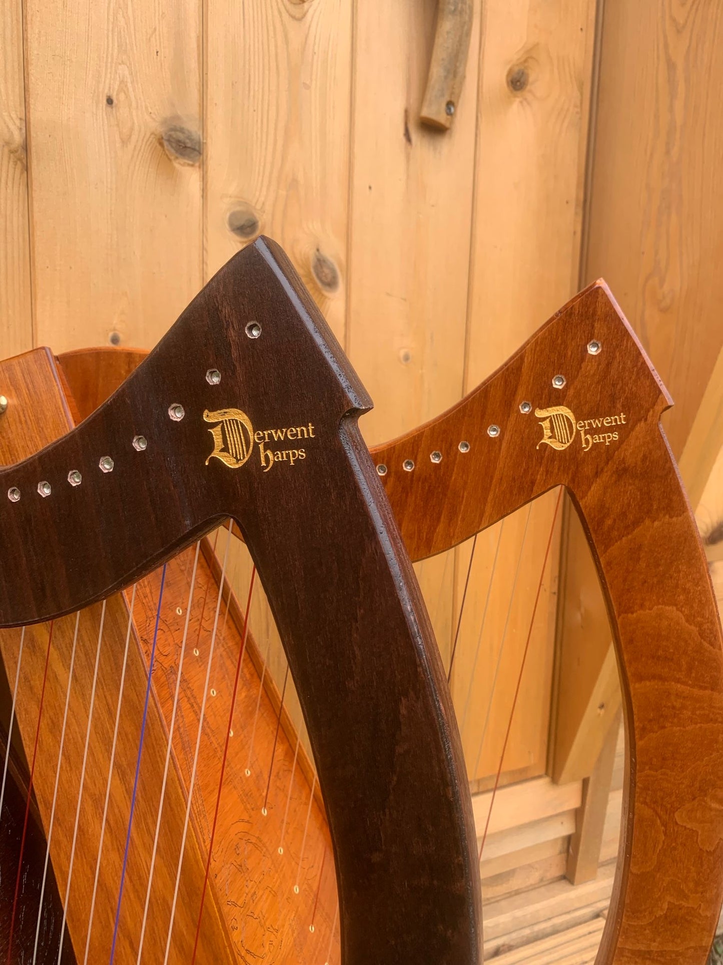 DiscoverIE 16 - Discover The Irish Harp at Home