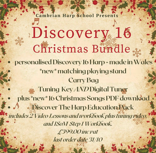 Discovery 16 Christmas Bundle - includes personalised harp and lots of extras!