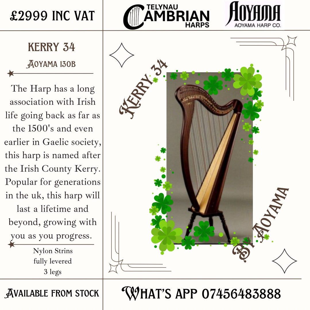 Aoyama Kerry 34 (130B)