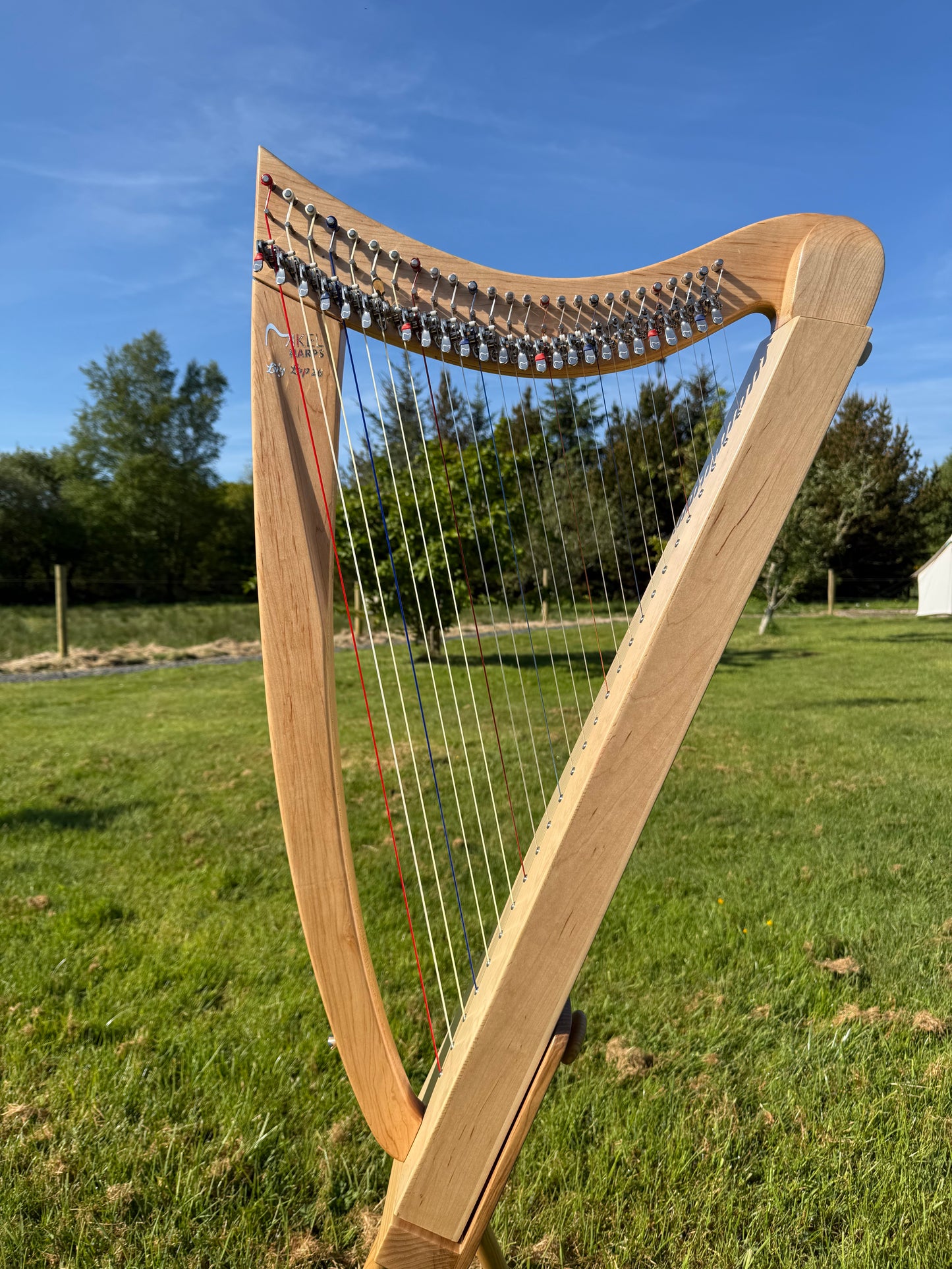 Lily Lap Harp