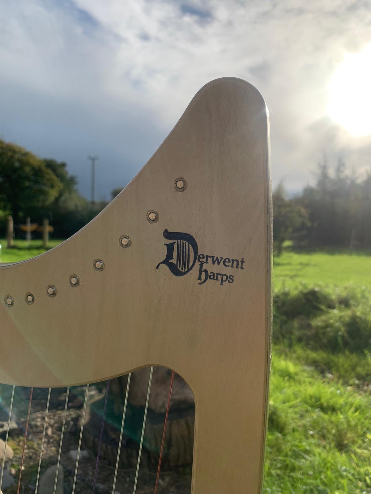 Discovery 16 Norse Mythology Harp | Handcrafted Travel/lLap Harp