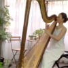 AOYAMA Princess Sakura Concert Harp