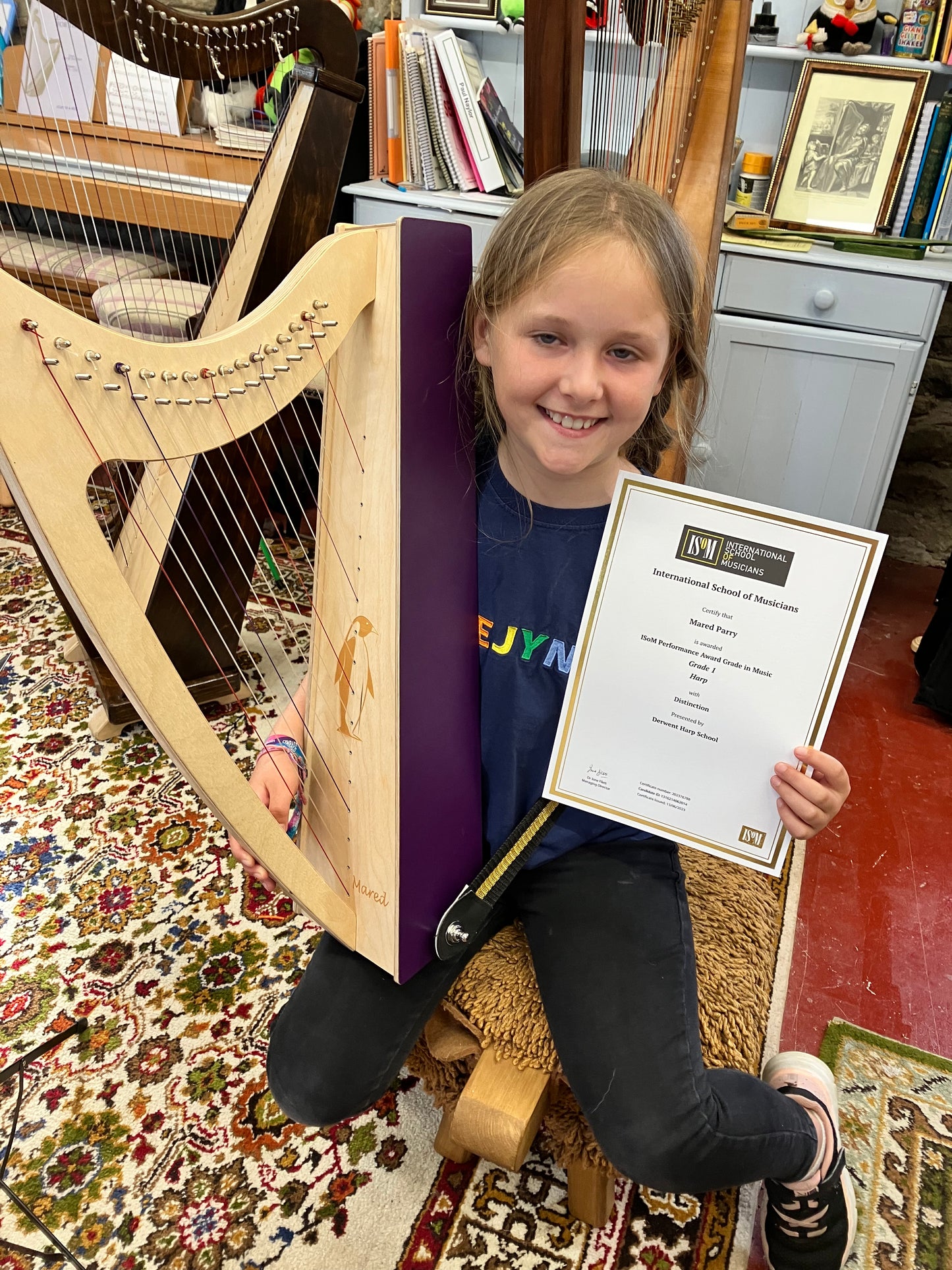 Discovery 16 Education Bundle - 10 Harps Plus teaching resouces for just £1499