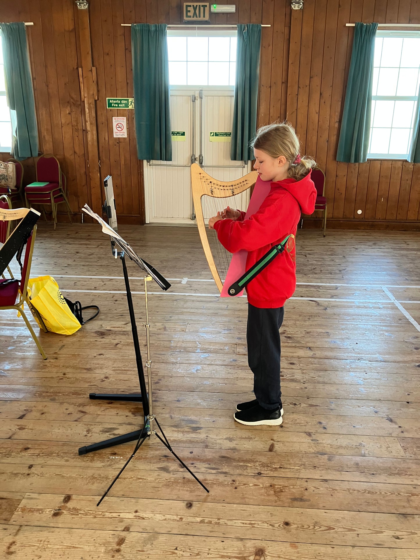 Discovery 16 Education Bundle - 10 Harps Plus teaching resouces for just £1499