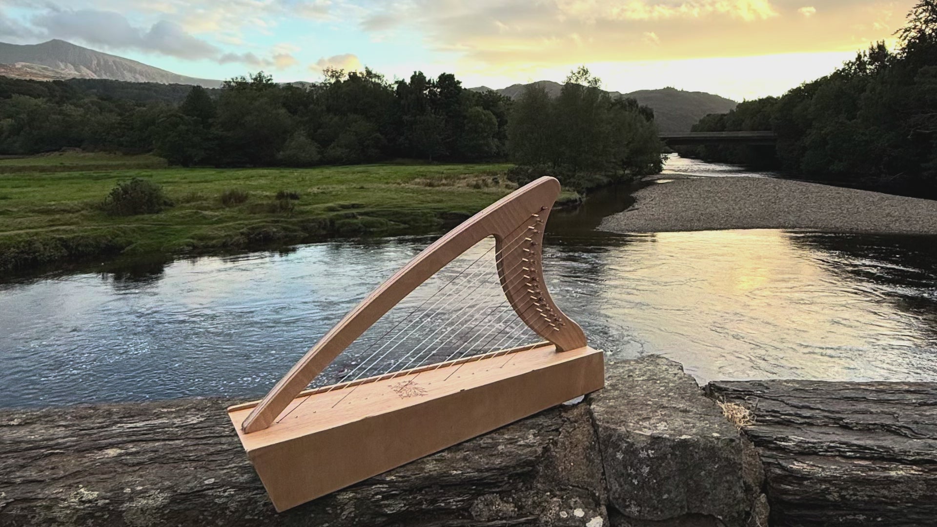 Discover the Harp at Home: The Discovery 16 Starter Pack includes